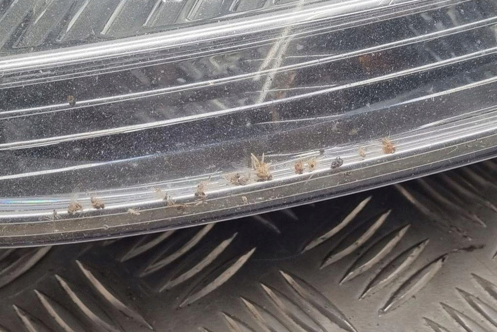 Frontscheinwerfer VW Golf Variant V I 1K6941005P Ein Stück (Rechts oder Links) SCH9713525737wk