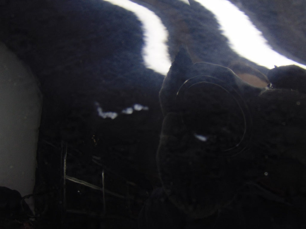 Kotflügel Mercedes-Benz W164 X164 Vorne Rechts