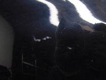 Laden Sie das Bild in den Galerie-Viewer, Kotflügel Mercedes-Benz W164 X164 Vorne Rechts