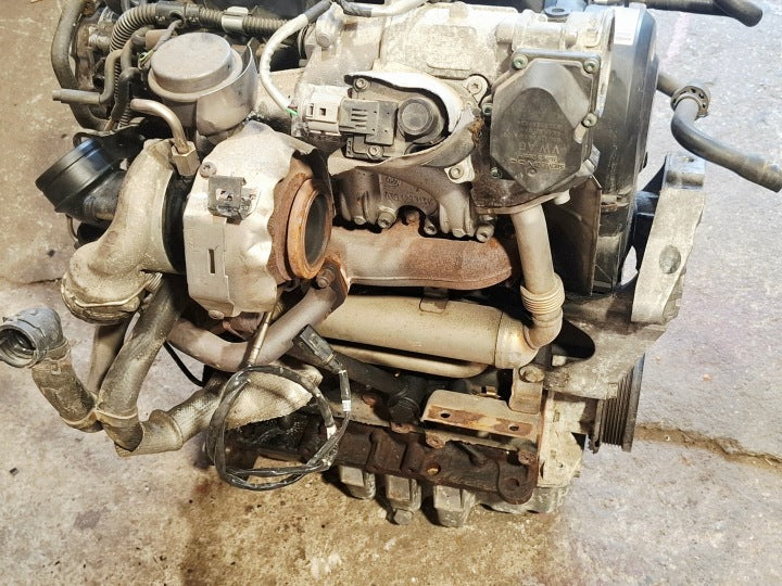 Motor VW Golf V Plus I BXJ 1.9 TDI 90PS 66kW 256TKm 2005 Diesel Unkomplett MOT6843326699gl