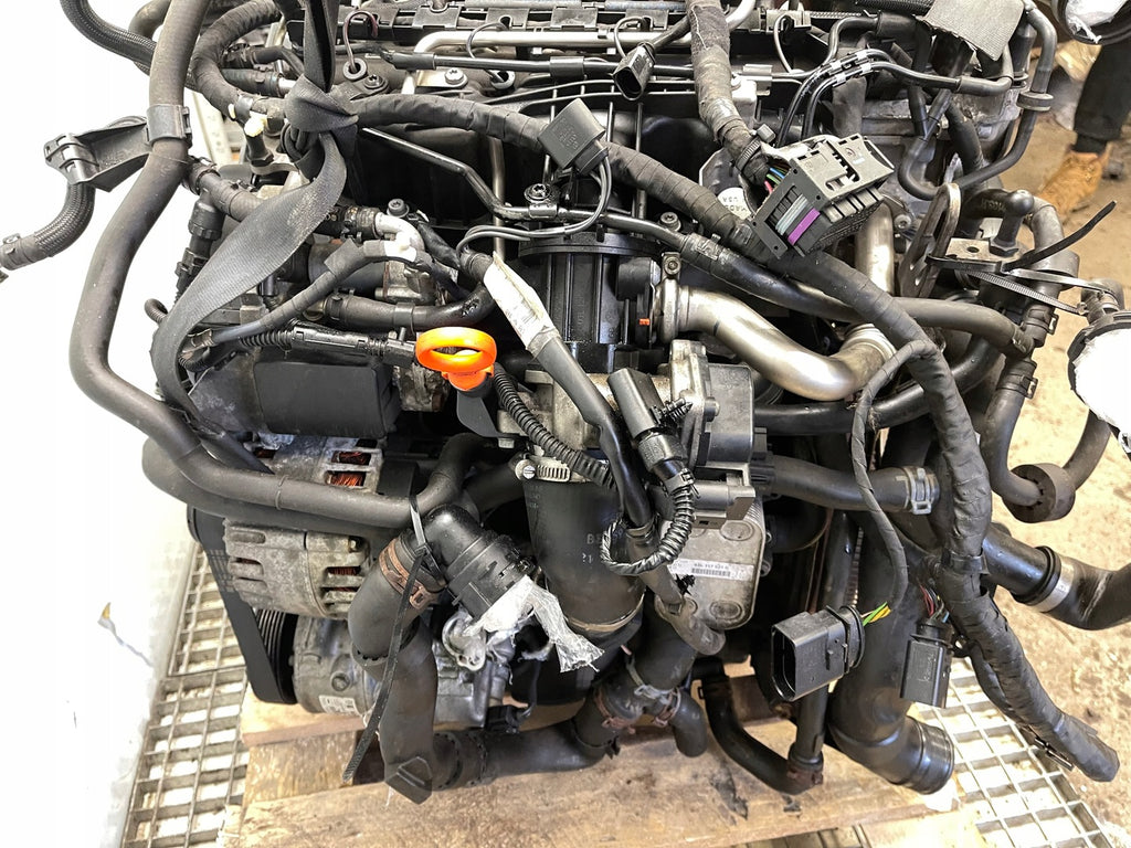 Motor Audi VW A1 Golf VI CAYC 1.6 TDI 105PS 77kW 203TKm 2011 Diesel Komplett