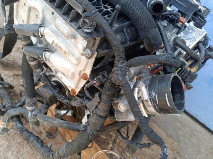 Motor Ford Kuga M8MD 1.5 150PS 2019 Benzin Engine Unkomplett MOT4957230911rg