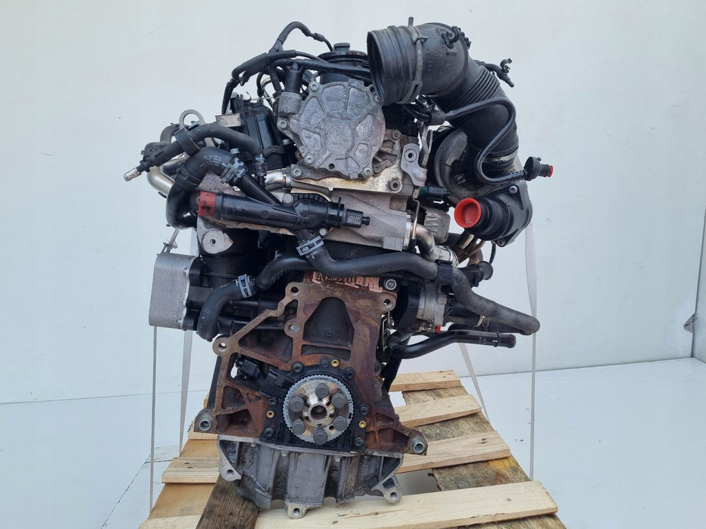 Motor VW Caddy III CAYE 1.6 TDI 75PS 55kW 233TKm 2003 Diesel Engine Komplett