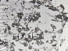 Laden Sie das Bild in den Galerie-Viewer, 1x Alufelge 16 Zoll 6.0" 4x100 50ET N97601 5FA1B Nissan Micra K14 Note E12 FEL4013705238go