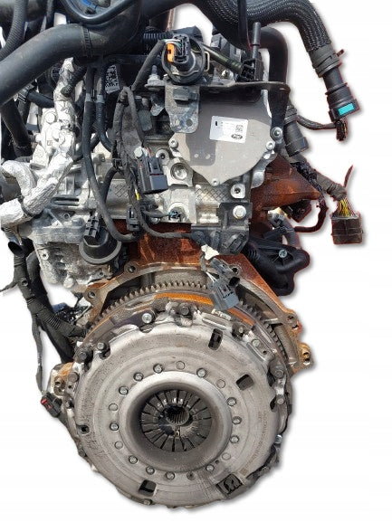 Motor Ford Transit YLF6 YNR6 YMF6 YN2X YN2Q YNF6 2.0 30TKm 2023 Diesel Komplett MOT6895148794yi