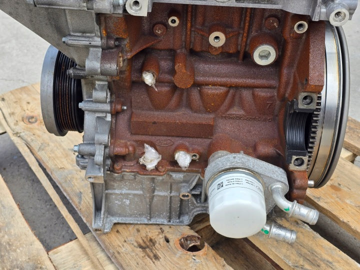 Motor Ford Focus M0DC 1.0 155PS 114kW 2024 Benzin Engine Unkomplett MOT1018375914nr