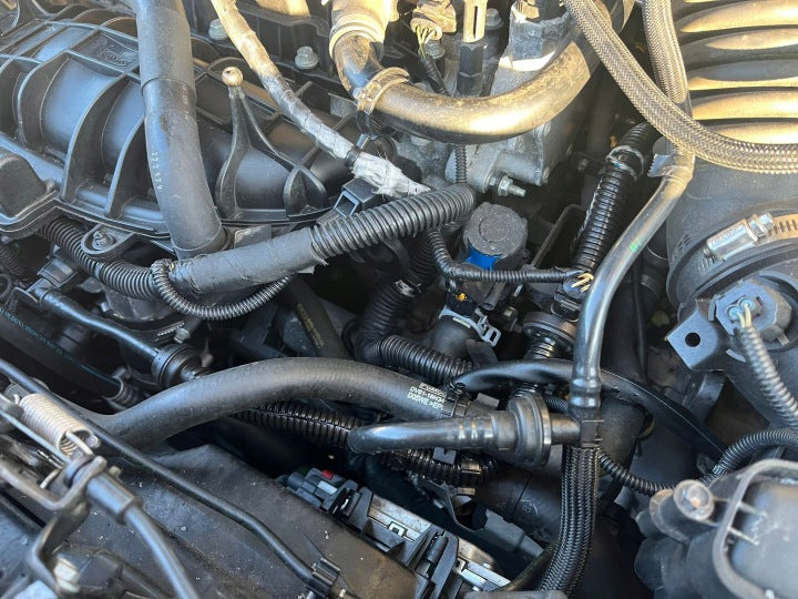 Motor Ford Connect Kuga JQDB 1.6 150PS 120TKm 2015 Benzin Engine Komplett MOT2749807855gr