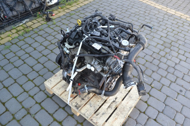 Motor Ford Fiesta I P4JA P4JB 1.0 2013 Benzin Engine Komplett MOT2364511267uw