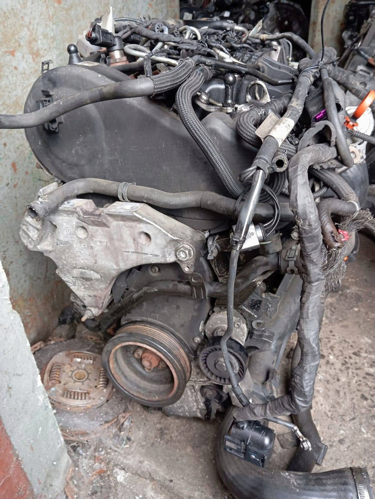 Motor Audi Skoda A3 CAYC 1.6 TDI 105PS 77kW 2008 Diesel Engine Komplett
