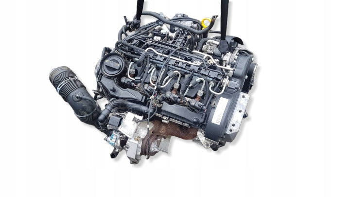 Motor Audi Seat Skoda VW I CAY 1.6 TDI 74TKm Diesel Engine Komplett MOT9788811909un