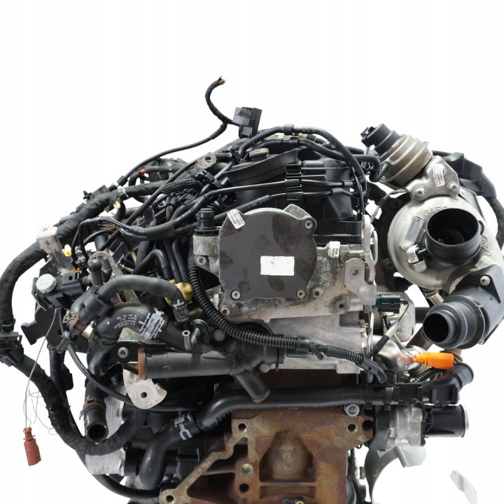 Motor VW Caddy III CAYE 1.6 TDI 75PS 55kW 159TKm Diesel Engine Unkomplett MOT1930253295xh