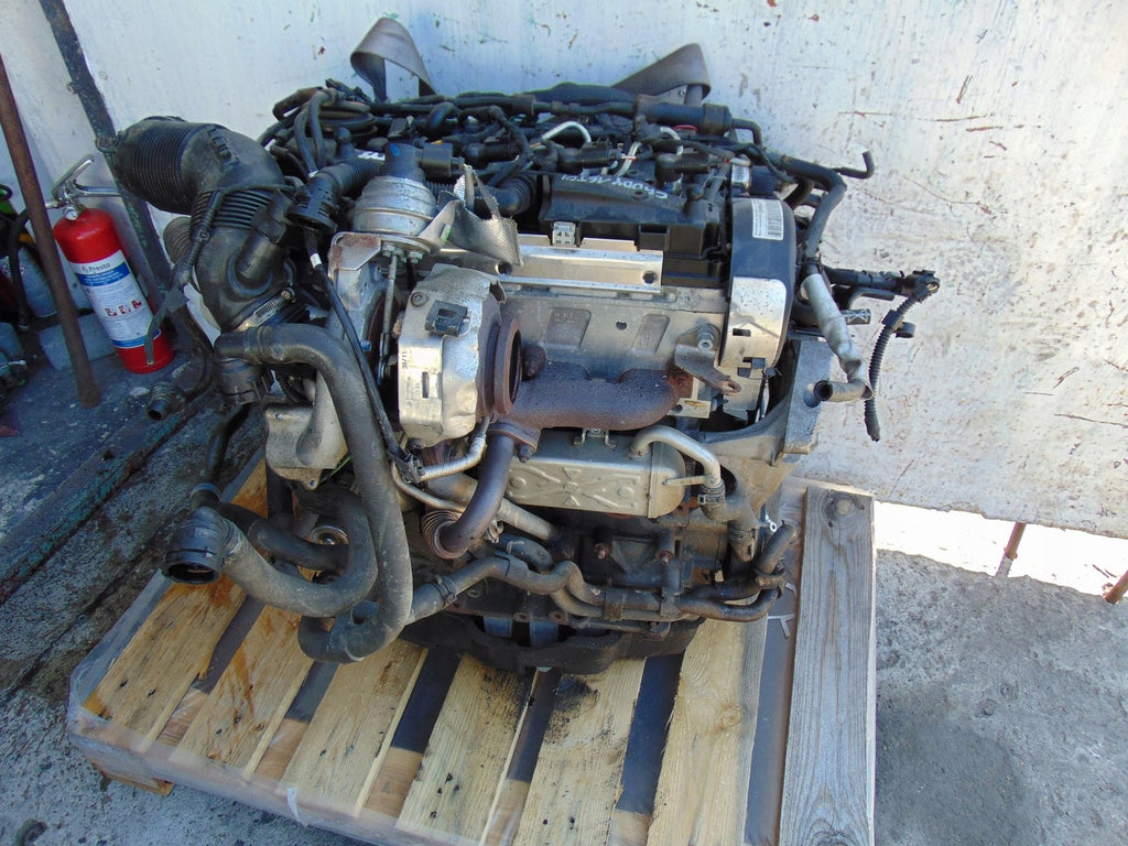 Motor VW Caddy III CAYD CAYE 1.6 TDI 50TKm 2010 Diesel Engine Komplett
