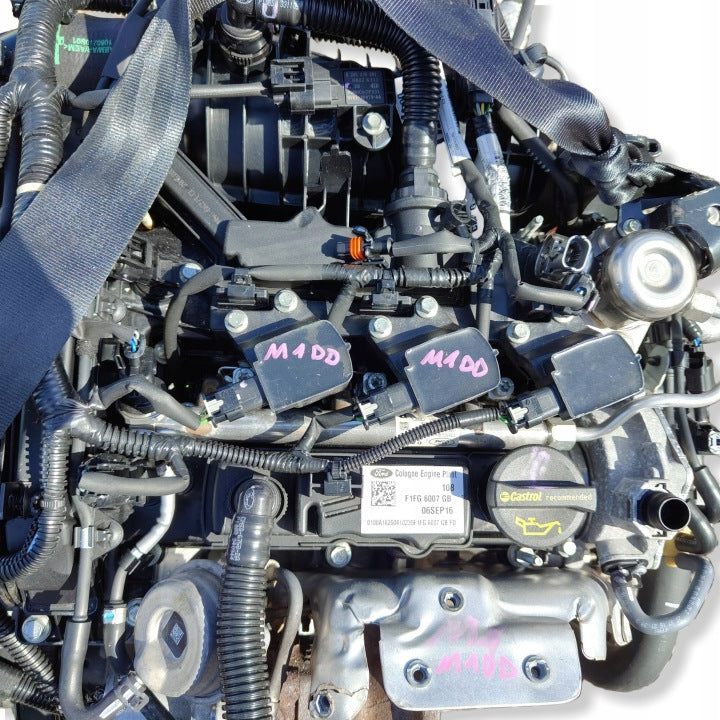 Motor Ford Focus M1DD 1.0 125PS 92kW Benzin Engine Komplett MOT5979671360nz