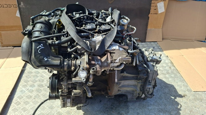 Motor Ford Fiesta I SFJD 1.0 100PS 110TKm Benzin Engine Unkomplett MOT4192539554qe