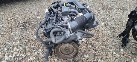 Motor VW Golf VIII I 1.0 TFSI 90PS 66kW Benzin Engine Unkomplett