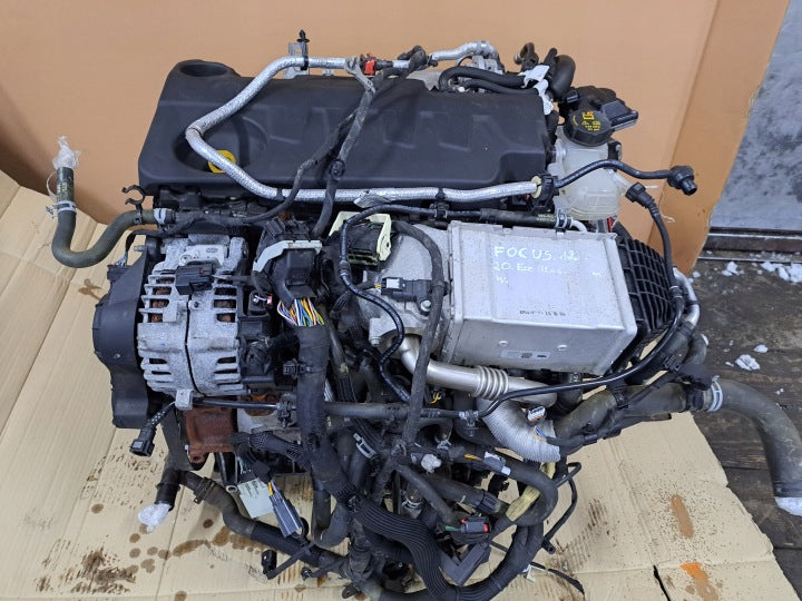 Motor Ford Focus YLDA 2.0 150PS 110kW 20TKm Benzin Engine Unkomplett MOT5656250421jh
