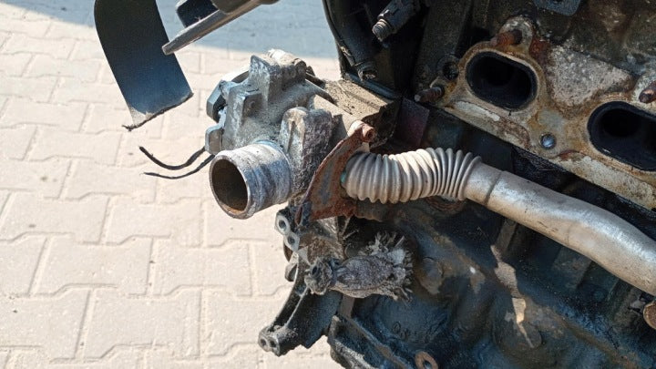 Motor Opel Astra H Zafira Meriva A Vectra C Z16XEP 1.6 1998 Benzin Unkomplett MOT5251333767vw