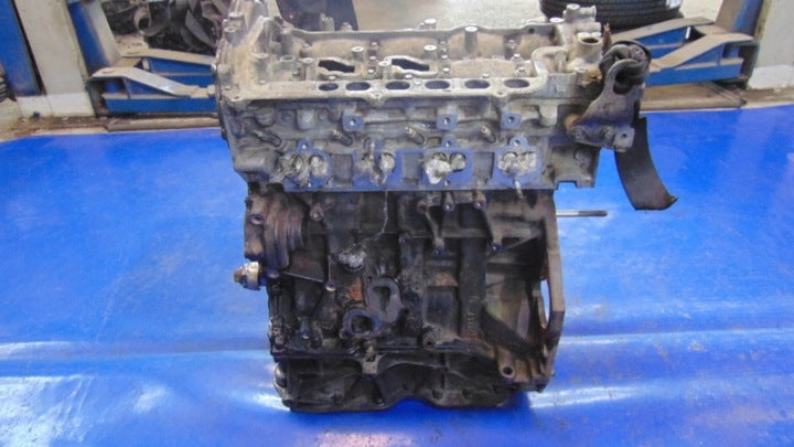 Motor Opel Renault Vivaro A M9RL782 2.0 DCI 170TKm 2009 Diesel Engine Unkomplett MOT6504773720lw