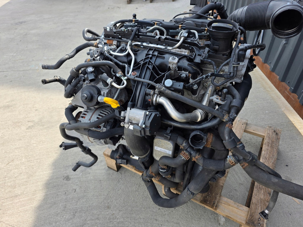 Motor Audi Seat Skoda VW I CFF CFFB 2.0 TDI 137TKm Diesel Engine Komplett