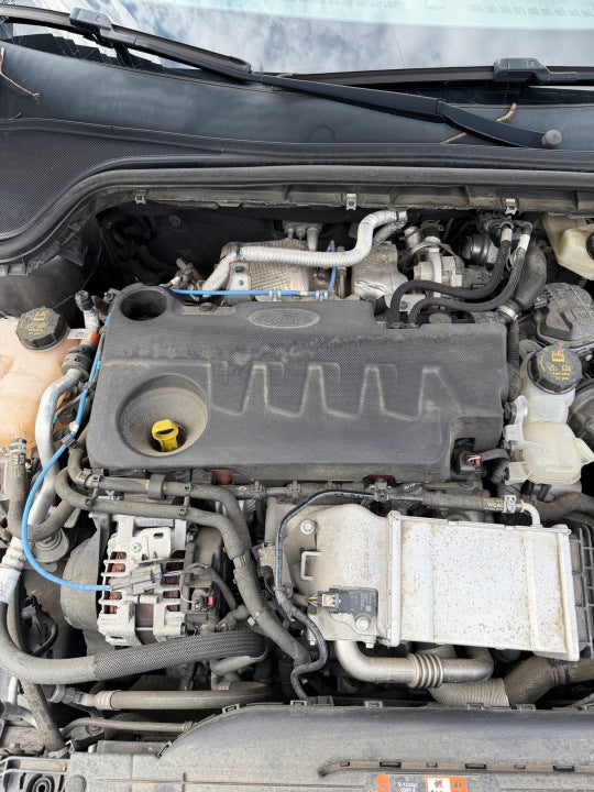 Motor Ford Focus YLDA 2.0 TDCI 150PS 110kW 50TKm 2020 Diesel Engine Komplett MOT6444608170uu