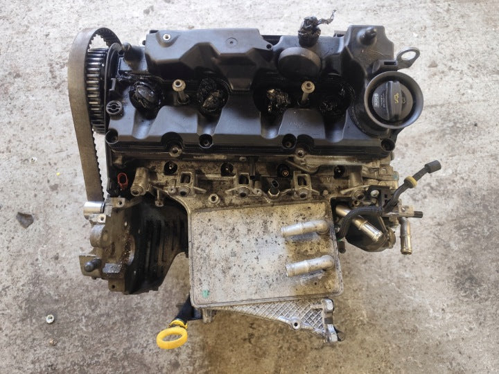Motor VW Passat B8 DCXA DCX 1.6 TDI 120PS 88kW 97TKm 2016 Diesel Unkomplett MOT7545993077yx