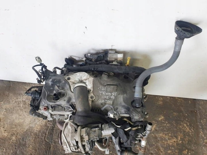 Motor Ford Transit Custom YMF6 2.0 130PS 96kW 167TKm 2012 Diesel Engine Komplett MOT8495178872at