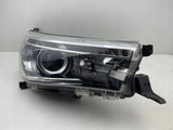 Frontscheinwerfer Toyota Hilux DAL23643 Rechts Scheinwerfer Headlight