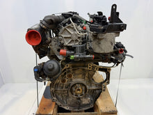 Laden Sie das Bild in den Galerie-Viewer, Motor Ford Fiesta I UGJC 1.5 TDCI 75PS 55kW 149TKm 2012 Diesel Engine Komplett MOT6566548328wt