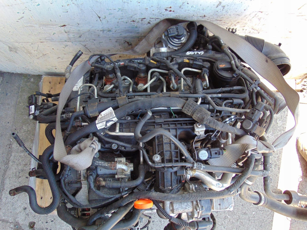 Motor VW Caddy III CAYD CAYE 1.6 TDI 50TKm 2010 Diesel Engine Komplett
