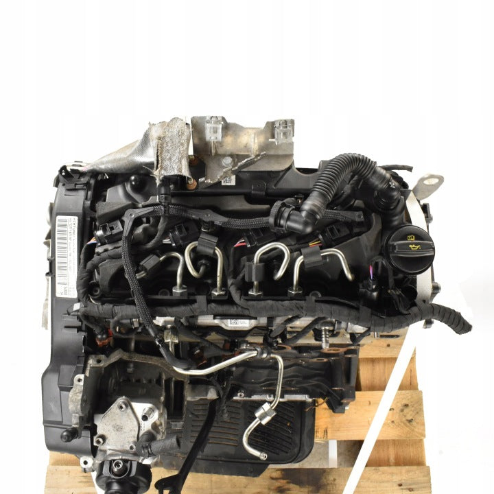 Motor VW Golf VIII IV DTTA DTTC 2.0 TDI 240PS 180kW 70TKm 2021 Diesel Unkomplett MOT4642038469hm