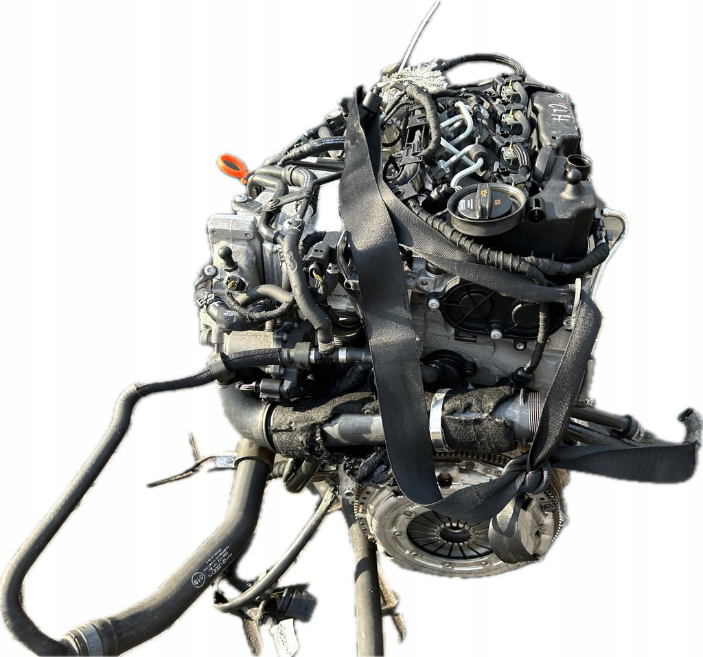Motor Audi Seat Skoda VW Leon Fabia I Golf VII CLH 1.6 TDI 72TKm Diesel Komplett