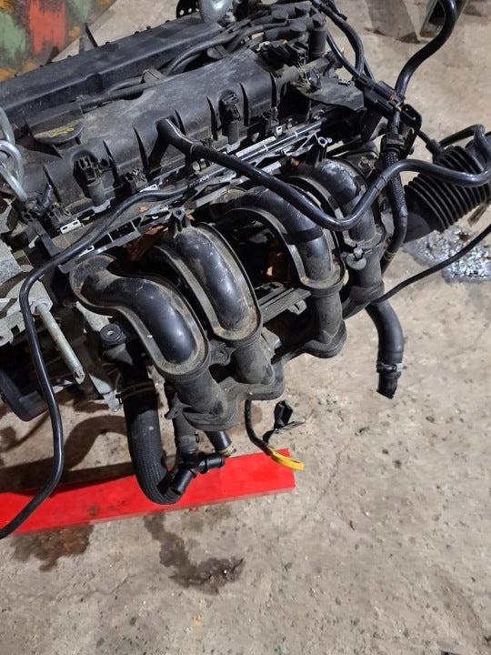 Motor Ford B2KA 1.2 70PS 51kW 57TKm Benzin Engine Komplett MOT3107521647el