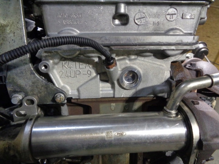 Motor Ford Transit JXFA 2.4 TDCI 273TKm 2020 Diesel Engine Komplett MOT8658284097if