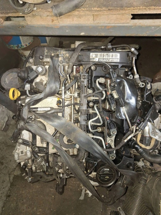 Motor Audi Seat Skoda VW I CUV 2.0 TDI 65TKm 2007 Diesel Engine Komplett MOT7864438021et
