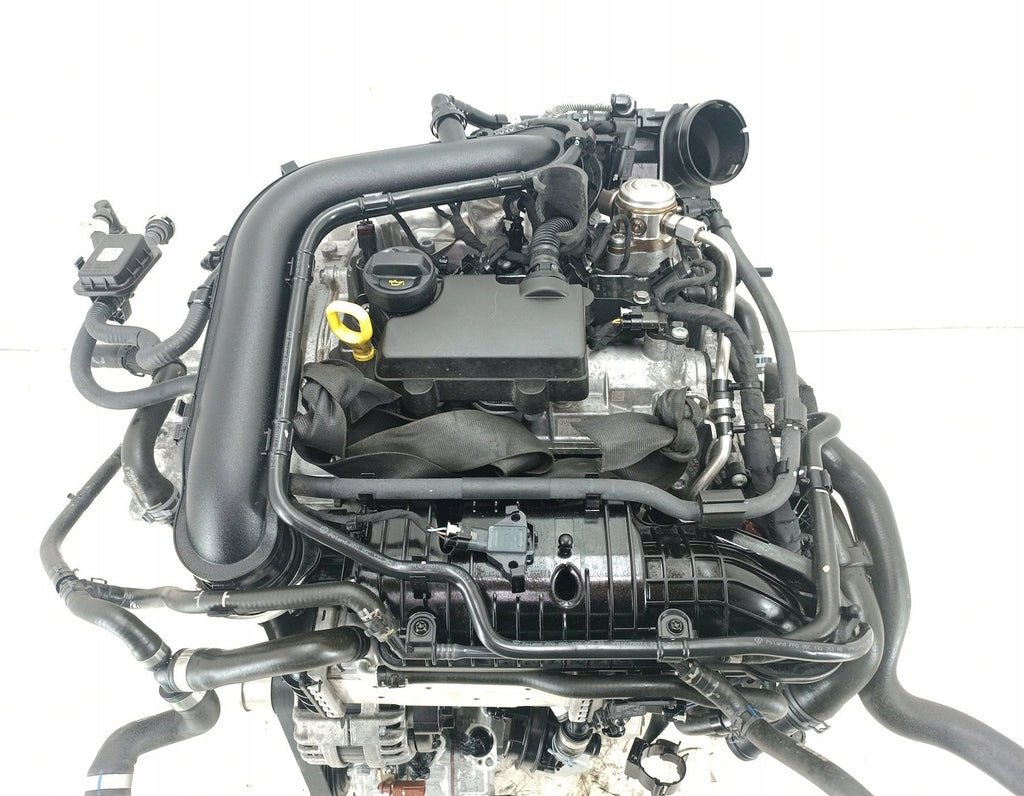 Motor Audi Seat Skoda T-Cross DLAA 1.0 TSI 110PS 81kW 89TKm 2021 Benzin Komplett