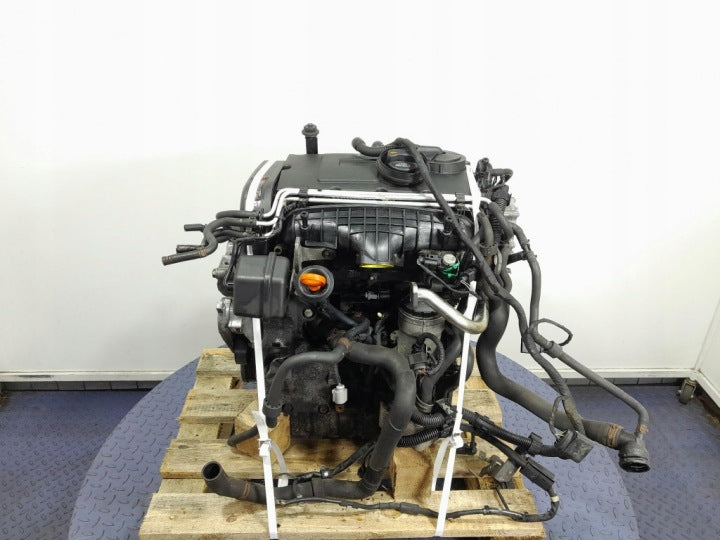 Motor VW Passat BMA CBAA 2.0 TDI 136PS 100kW 2007 Diesel Engine Komplett MOT1321219012tj