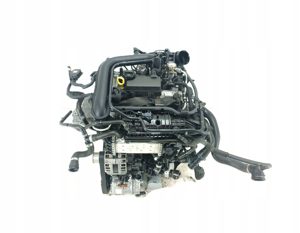 Motor Audi Seat Skoda T-Cross DLAA 1.0 TSI 110PS 81kW 89TKm 2021 Benzin Komplett