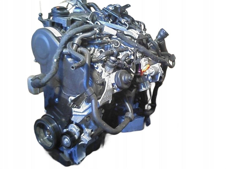 Motor Audi VW A3 Passat B7 CJA 2.0 TDI 140PS 103kW 1TKm 2013 Diesel Komplett MOT5443652437dn