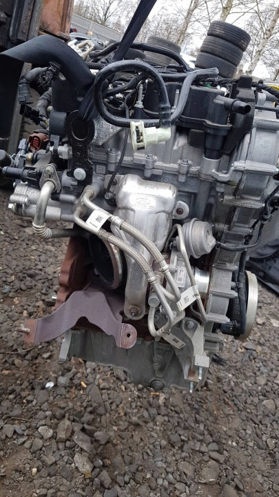 Motor Ford Puma B7JB 1.0 125PS 92kW 37TKm Benzin Engine Komplett MOT8530053036cf