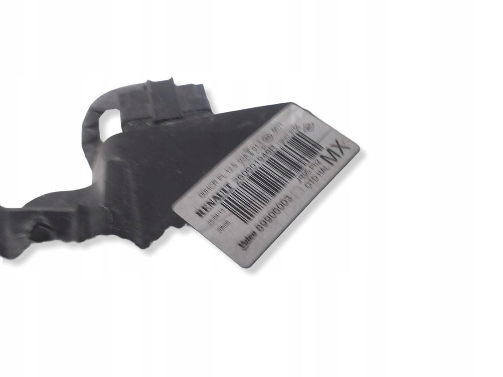 Frontscheinwerfer Renault Scenic 260106928R Ein Satz Scheinwerfer Headlight SCH4114827683rw