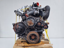 Laden Sie das Bild in den Galerie-Viewer, Motor Nissan Cabstar BD30TI 3.0 105PS 77kW 232TKm 1996 Diesel Engine Komplett MOT1243988262gf