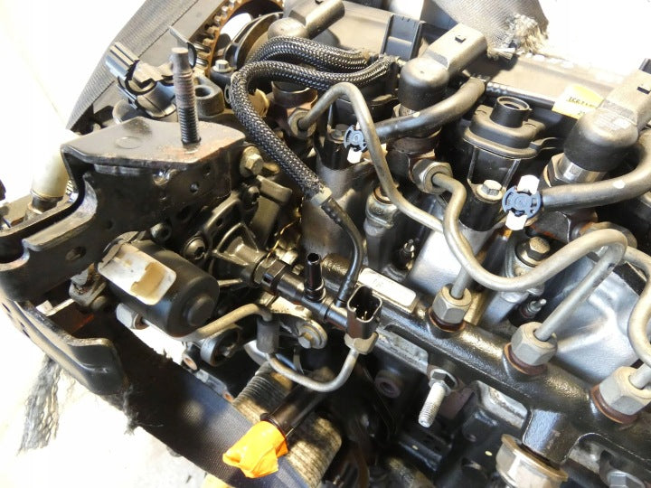 Motor Nissan Renault Qashqai I Clio K9KF646 1.5 DCI 87TKm Diesel Engine Komplett MOT5604946886dg