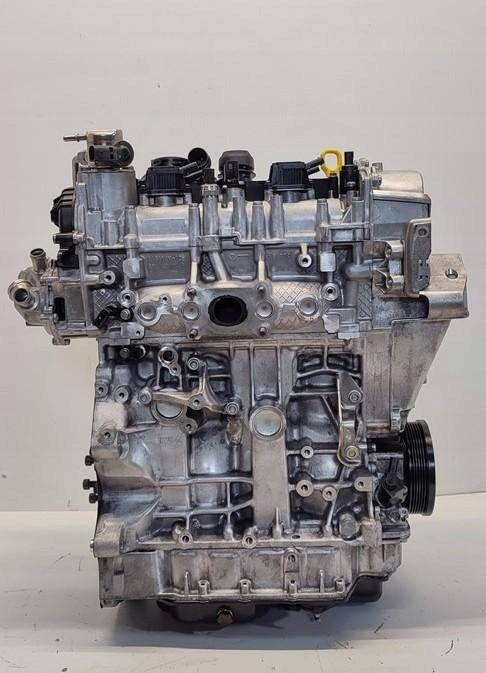 Motor Seat VW Tarraco Tiguan DXD 1.9 TDI 90PS 66kW 53TKm 2023 Benzin Komplett MOT9046812888nw
