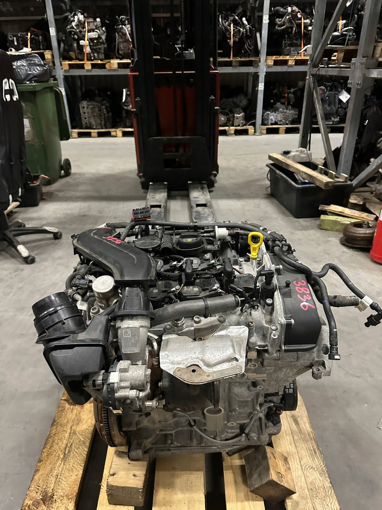 Motor Audi Seat VW DPB 1.5 TSI 23TKm 2021 Benzin Engine Unkomplett