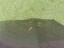 Laden Sie das Bild in den Galerie-Viewer, Tür Mercedes-Benz W247 X247 A2477221300 A2477229301 Vorne Links Zum Streichen