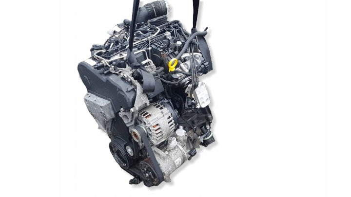 Motor Audi Seat Skoda VW I CAY 1.6 TDI 74TKm Diesel Engine Komplett MOT9788811909un