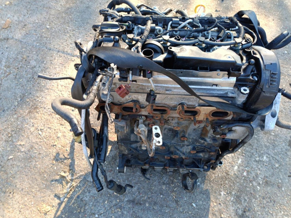 Motor Audi Skoda VW 01 CUU 2.0 TDI 110PS 2017 Diesel Engine Komplett