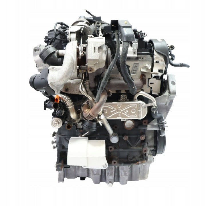 Motor VW Caddy III CAYE 1.6 TDI 75PS 55kW 159TKm Diesel Engine Unkomplett MOT1930253295xh