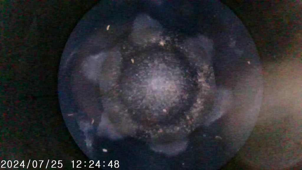 Motor Renault Laguna III IMPRK1368224 2.0 DCI 178PS 2008 Diesel Unkomplett