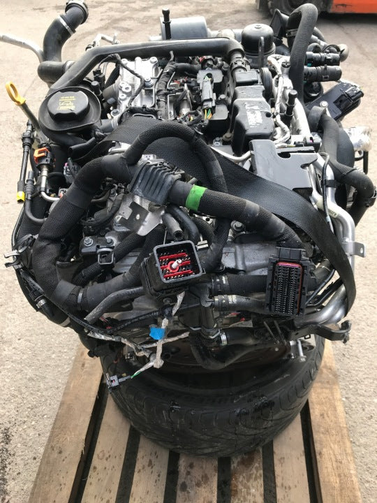 Motor Land Rover Range I Sport L494 PT204 2.0 Benzin Engine Komplett MOT7269185798ib